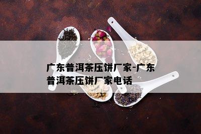 广东普洱茶压饼厂家-广东普洱茶压饼厂家电话