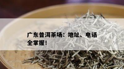 广东普洱茶场：地址、电话全掌握！