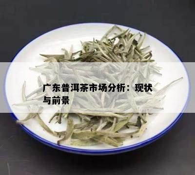 广东普洱茶市场分析：现状与前景