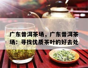 广东普洱茶场，广东普洱茶场：寻找优质茶叶的好去处