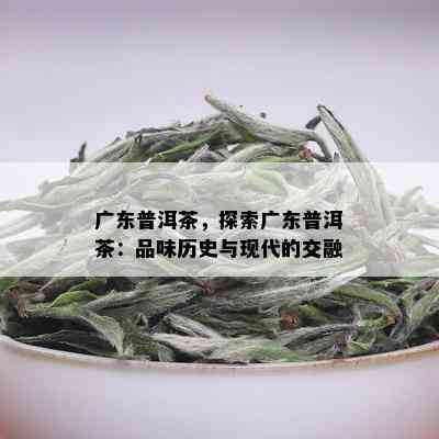 广东普洱茶，探索广东普洱茶：品味历史与现代的交融