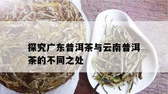 探究广东普洱茶与云南普洱茶的不同之处