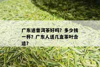 广东送普洱茶好吗？多少钱一杯？广东人送几盒茶叶合适？