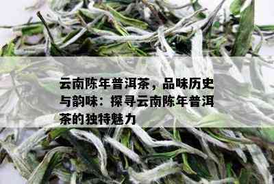 云南陈年普洱茶，品味历史与韵味：探寻云南陈年普洱茶的独特魅力