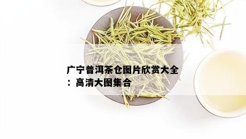 广宁普洱茶仓图片欣赏大全：高清大图集合