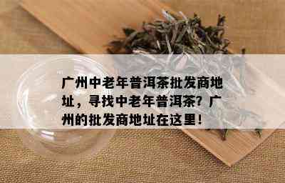 广州中老年普洱茶批发商地址，寻找中老年普洱茶？广州的批发商地址在这里！