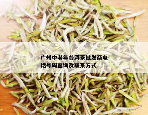 广州中老年普洱茶批发商电话号码查询及联系方式