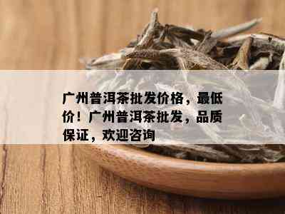 广州普洱茶批发价格，更低价！广州普洱茶批发，品质保证，欢迎咨询