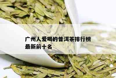 广州人爱喝的普洱茶排行榜最新前十名