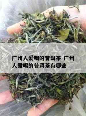 广州人爱喝的普洱茶-广州人爱喝的普洱茶有哪些