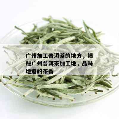 广州加工普洱茶的地方，揭秘广州普洱茶加工地，品味地道的茶香