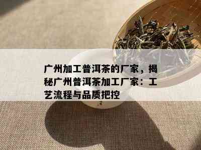 广州加工普洱茶的厂家，揭秘广州普洱茶加工厂家：工艺流程与品质把控