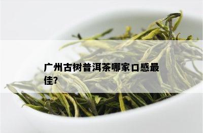 广州古树普洱茶哪家口感更佳？