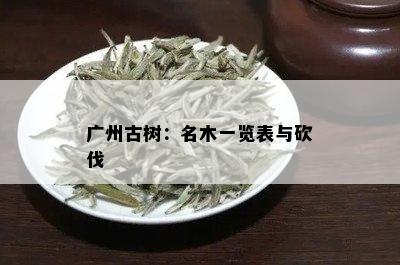 广州古树：名木一览表与砍伐