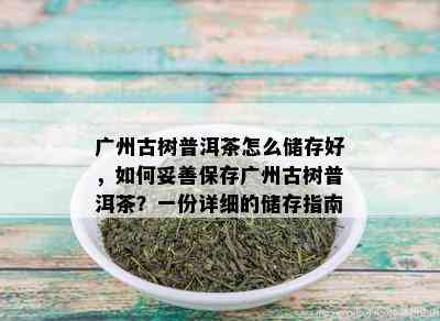 广州古树普洱茶怎么储存好，如何妥善保存广州古树普洱茶？一份详细的储存指南