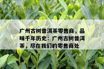 广州古树普洱茶零售商，品味千年历史：广州古树普洱茶，尽在我们的零售商处