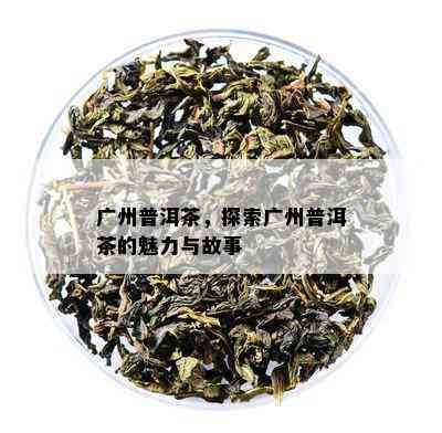 广州普洱茶，探索广州普洱茶的魅力与故事