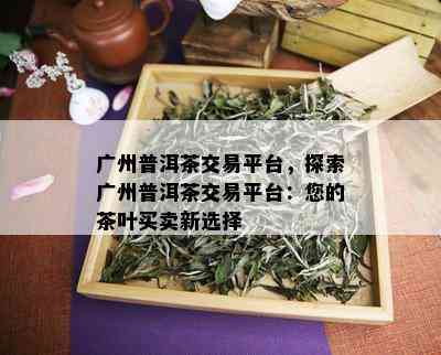 广州普洱茶交易平台，探索广州普洱茶交易平台：您的茶叶买卖新选择