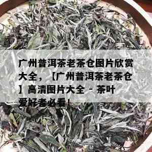 广州普洱茶老茶仓图片欣赏大全，【广州普洱茶老茶仓】高清图片大全 - 茶叶爱好者必看！