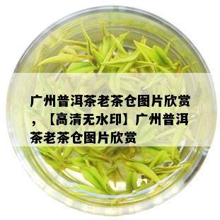 广州普洱茶老茶仓图片欣赏，【高清无水印】广州普洱茶老茶仓图片欣赏