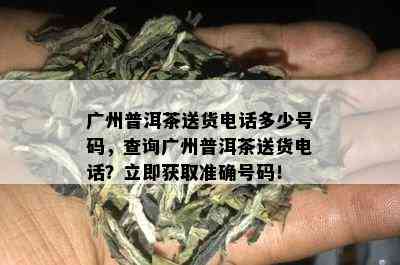 广州普洱茶送货电话多少号码，查询广州普洱茶送货电话？立即获取准确号码！