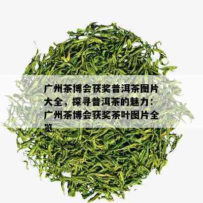 广州茶博会获奖普洱茶图片大全，探寻普洱茶的魅力：广州茶博会获奖茶叶图片全览