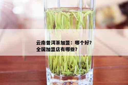 云南普洱茶加盟：哪个好？全国加盟店有哪些？