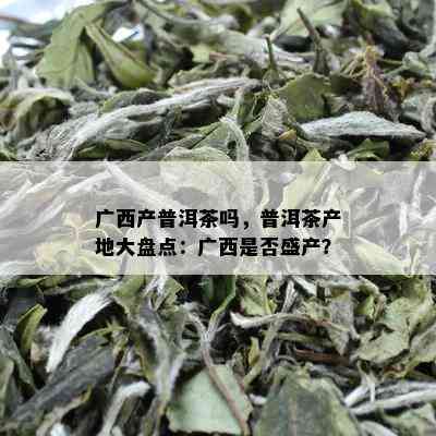 广西产普洱茶吗，普洱茶产地大盘点：广西是否盛产？