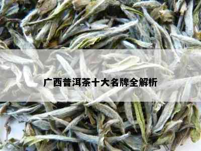 广西普洱茶十大名牌全解析