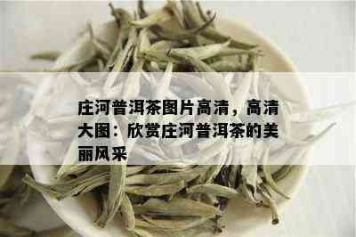 庄河普洱茶图片高清，高清大图：欣赏庄河普洱茶的美丽风采