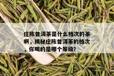 庄陈普洱茶是什么档次的茶啊，揭秘庄陈普洱茶的档次，你喝的是哪个等级？