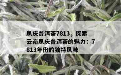 凤庆普洱茶7813，探索云南凤庆普洱茶的魅力：7813年份的独特风味