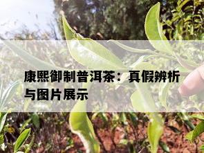 康熙御制普洱茶：真假辨析与图片展示