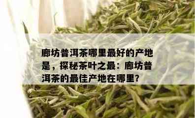 廊坊普洱茶哪里更好的产地是，探秘茶叶之最：廊坊普洱茶的更佳产地在哪里？