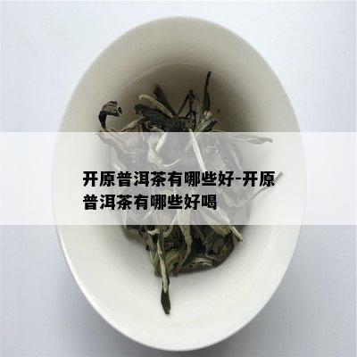 开原普洱茶有哪些好-开原普洱茶有哪些好喝