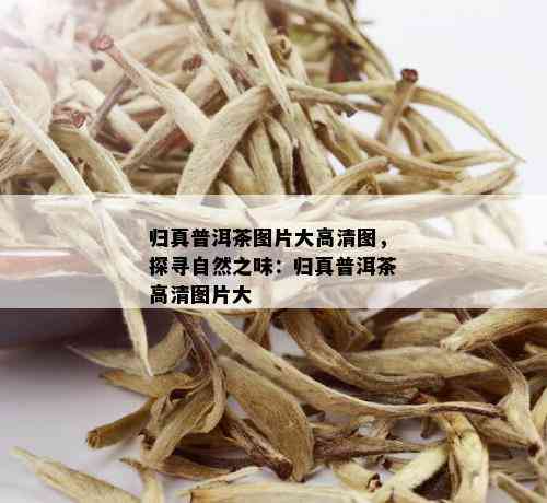 归真普洱茶图片大高清图，探寻自然之味：归真普洱茶高清图片大