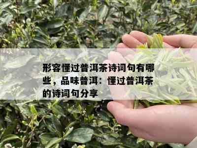 形容懂过普洱茶诗词句有哪些，品味普洱：懂过普洱茶的诗词句分享