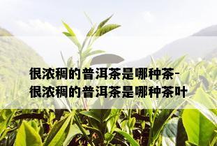 很浓稠的普洱茶是哪种茶-很浓稠的普洱茶是哪种茶叶