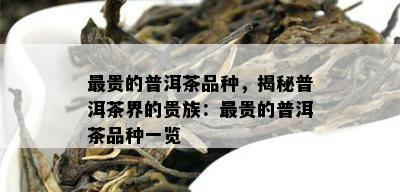 最贵的普洱茶品种，揭秘普洱茶界的贵族：最贵的普洱茶品种一览