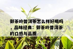 御茶岭普洱茶怎么样好喝吗，品味经典：御茶岭普洱茶的口感与品质