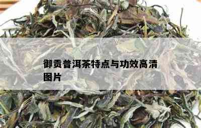 御贡普洱茶特点与功效高清图片