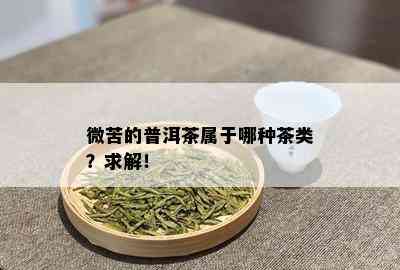 微苦的普洱茶属于哪种茶类？求解！