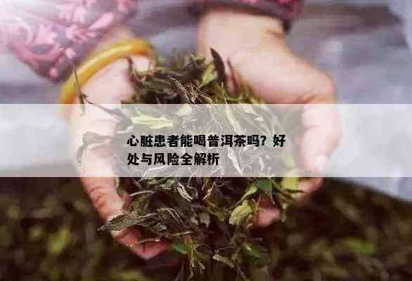 心脏患者能喝普洱茶吗？好处与风险全解析