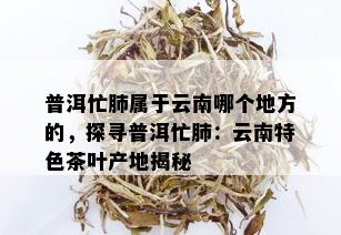 普洱忙肺属于云南哪个地方的，探寻普洱忙肺：云南特色茶叶产地揭秘