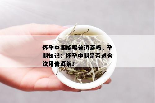 怀孕中期能喝普洱茶吗，孕期知识：怀孕中期是否适合饮用普洱茶？