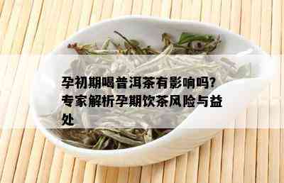 孕初期喝普洱茶有影响吗？专家解析孕期饮茶风险与益处