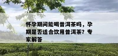 怀孕期间能喝普洱茶吗，孕期是否适合饮用普洱茶？专家解答