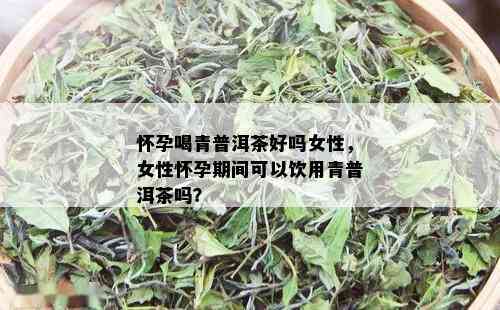 怀孕喝青普洱茶好吗女性，女性怀孕期间可以饮用青普洱茶吗？