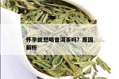 怀孕就想喝普洱茶吗？原因解析