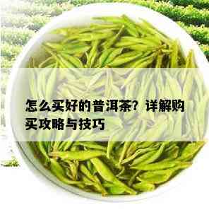 怎么买好的普洱茶？详解购买攻略与技巧